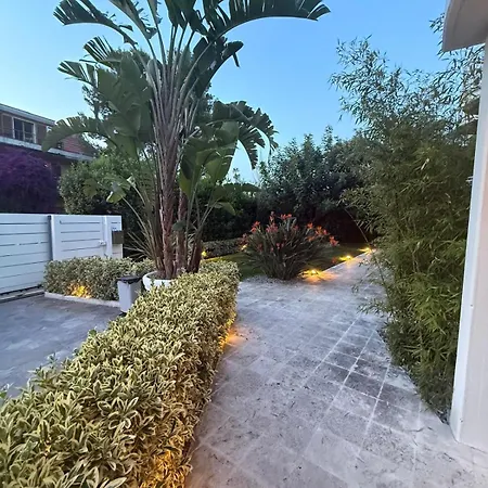 Apartment Blue And *