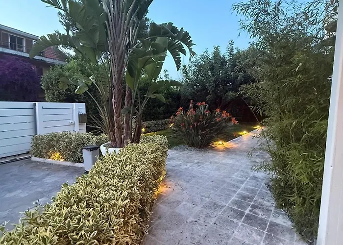 Apartment Blue And *